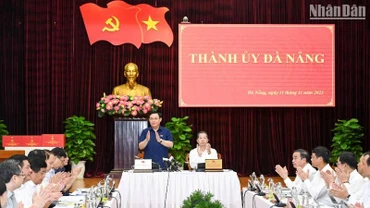 Cần thêm cơ chế, chính sách phù hợp để Đà Nẵng có bước phát triển bứt phá 