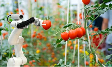 Robot hái trái cây, kết quả từ đề tài khoa học-công nghệ của Trường đại học Công nghệ - Đại học Quốc gia Hà Nội.