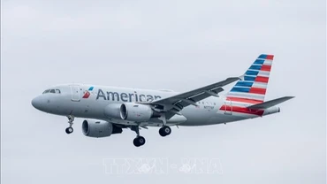 Máy bay của hãng hàng không American Airlines hạ cánh xuống sân bay Ronald Reagan Washington, Mỹ ngày 24/12/2024. (Ảnh: THX/TTXVN) 
