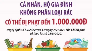 Cá nhân, hộ gia đình không phân loại rác có thể bị phạt đến 1 triệu đồng