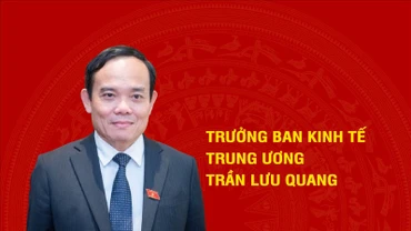 [Infographic] Tiểu sử tân Trưởng Ban Kinh tế Trung ương Trần Lưu Quang