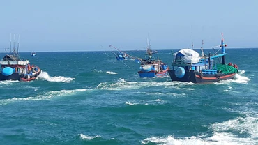Tàu cá của ngư dân Quảng Ngãi vươn khơi đánh bắt.