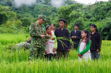 Chung tay phát triển vùng đồng bào dân tộc thiểu số và miền núi 