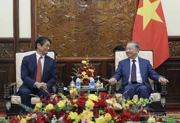 Chủ tịch nước Tô Lâm tiếp Đại sứ Nhật Bản tại Việt Nam Ito Naoki. Ảnh: TTXVN
