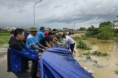 (Ảnh minh họa: AN TRÂN)