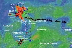 (Ảnh: Hệ thống Giám sát thiên tai Việt Nam)