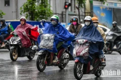 (Ảnh minh họa: THÀNH ĐẠT)