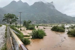 (Ảnh minh họa: TUẤN SƠN)