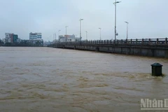 (Ảnh minh họa: MINH TRANG)