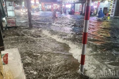 (Ảnh: THÀNH ĐẠT)