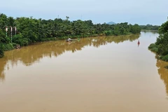 (Ảnh minh họa)