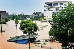 (Ảnh minh họa: THẾ BÌNH)