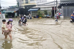 (Ảnh minh họa: THẾ ANH)