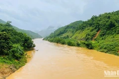 (Ảnh minh họa)
