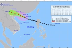 Bản đồ dự báo quỹ đạo và cường độ bão số 11 phát lúc 5 giờ sáng 5/10/2025. (Nguồn: Trung tâm Dự báo khí tượng thủy văn quốc gia)