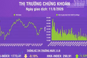 [Infographic] Chứng khoán ngày 11/8: VN-Index giảm nhẹ hơn 3 điểm, thanh khoản thị trường giảm