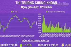 [Infographic] Chứng khoán ngày 12/8: VN-Index tăng gần 20 điểm, khối ngoại mua ròng 314,4 tỷ đồng trên HoSE