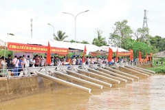 Hoạt động thả cá về tự nhiên nhằm đa dạng nguồn lợi thủy sản được tổ chức tại thành phố Cần Thơ.