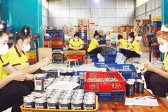 Hợp tác xã Tây Bắc tạo việc làm thường xuyên cho 12 lao động là người địa phương.