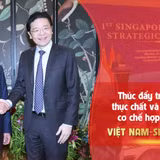 Thúc đẩy triển khai thực chất và mạnh mẽ cơ chế hợp tác mới Việt Nam-Singapore