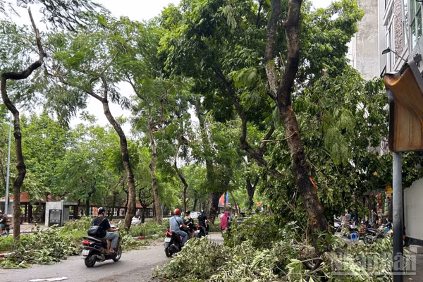 (Ảnh minh họa: THÙY LINH)