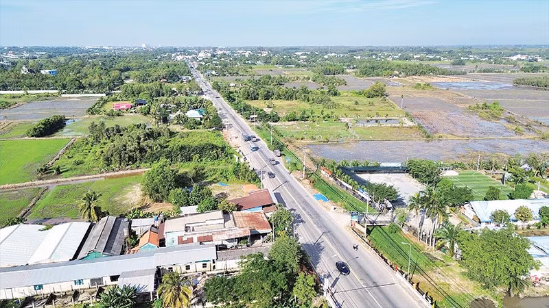 Tỉnh lộ 8, khu vực Củ Chi, Thành phố Hồ Chí Minh có đất nông nghiệp, nằm trong dự án cao tốc Thành phố Hồ Chí Minh-Mộc Bài.