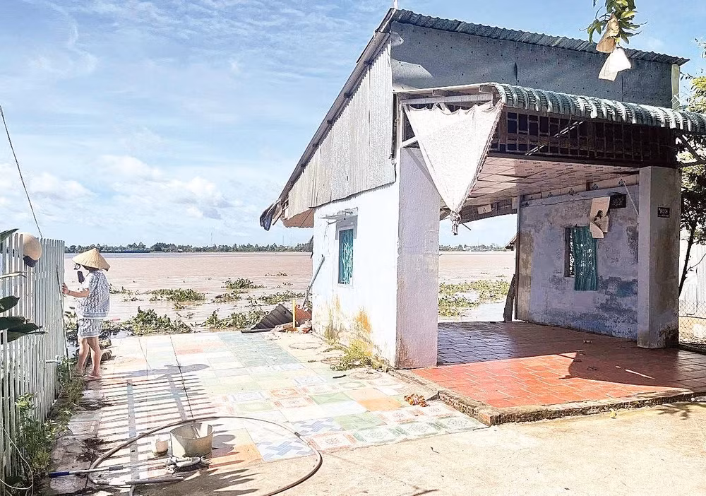 Nhiều gia đình trên địa bàn tỉnh Đồng Tháp mất đất, mất nhà do sạt lở bờ sông.