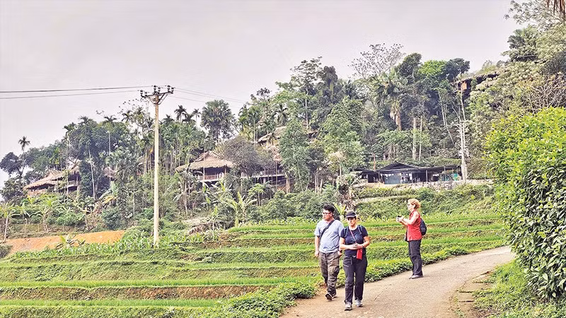 Du khách nước ngoài trải nghiệm, khám phá hệ sinh thái ở Pù Luông, tỉnh Thanh Hóa