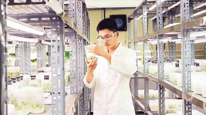 Đại học Duy Tân đẩy mạnh hoạt động nghiên cứu khoa học. (Ảnh MINH CHUNG)