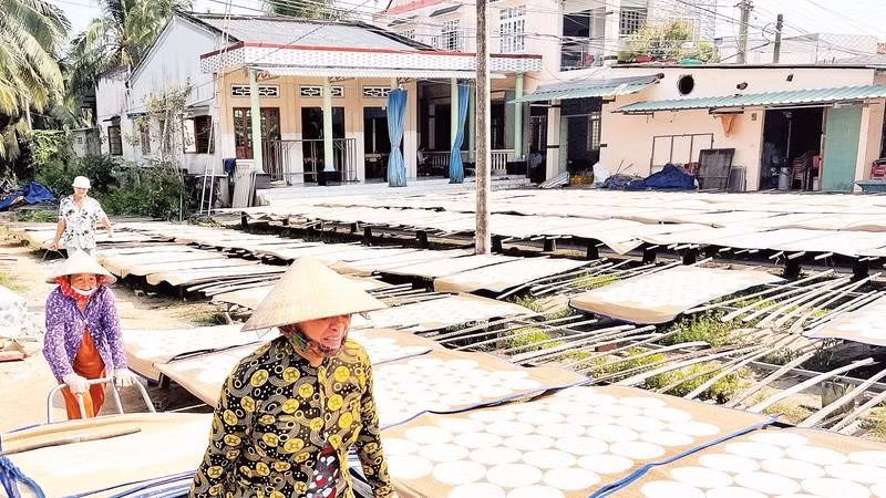 Người dân làng nghề Sơn Đốc tất bật phơi bánh phồng những ngày cận Tết.