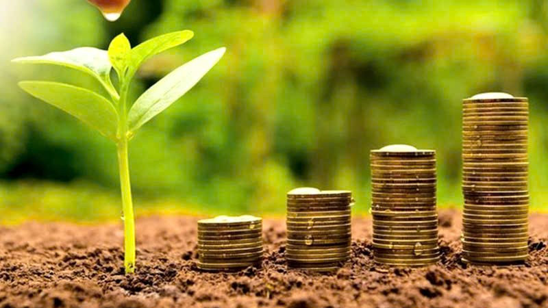 Tuần giao dịch giữa tháng 11 tiếp tục ghi nhận nhiều doanh nghiệp duy trì chính sách chia cổ tức bằng tiền mặt ở mức cao. (Ảnh minh họa)