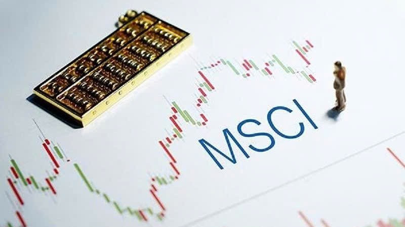 MSCI đưa HVN đưa vào rổ thị trường cổ phiếu chứng khoán.