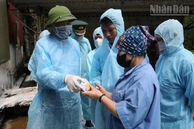 Thứ trưởng Nông nghiệp và Môi trường kiểm tra và phát vaccine chống dịch tả lợn châu Phi cho chủ cơ sở chăn nuôi tại xã Mẫu Sơn, tỉnh Lạng Sơn.