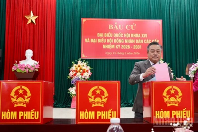 Đồng chí Trần Sỹ Thanh, Ủy viên Bộ Chính trị, Bí thư Trung ương Đảng, Chủ nhiệm Ủy ban Kiểm tra Trung ương bỏ lá phiếu đầu tiên bầu đại biểu Quốc hội khoá XVI và đại biểu Hội đồng nhân dân các cấp nhiệm kỳ 2026-2031 tại điểm bầu cử khối Đại Thắng, phường Lương Văn Trì, tỉnh Lạng Sơn.