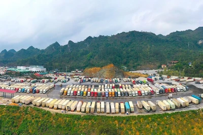 Các phương tiện xuất, nhập khẩu tập trung tại khu vực Cửa khẩu quốc tế Hữu Nghị, tỉnh Lạng Sơn.