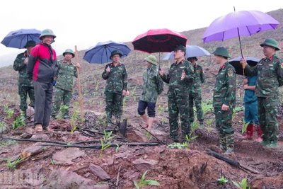 Lãnh đạo Bộ Chỉ huy quân sự tỉnh Lạng Sơn kiểm tra điểm sạt lở trên địa bàn xã Thái Bình, tỉnh Lạng Sơn.