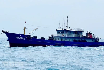 Bộ Tư lệnh Vùng Cảnh sát biển 4 phát hiện, kiểm tra, bắt giữ 3 tàu cá có hành vi vận chuyển trái phép 186 nghìn lít dầu D.O trong đợt cao điểm.