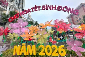 Cổng chào giới thiệu chợ hoa Tết Bình Đông. 