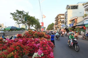 Chợ hoa Tết Bình Đông là một trong các hoạt động văn hóa truyền thống của Thành phố Hồ Chí Minh. (Ảnh: ANH TÚ)