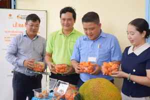 Các đại biểu tìm hiểu sản phẩm từ trái mít tại xã Cái Ngang. (Ảnh: DUYÊN BÙI)
