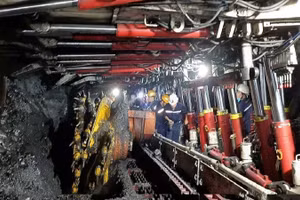Lò chợ cơ giới hóa hạng nhẹ BM 5-1 Vỉa 5 Thành Công (Công ty Than Hòn Gai).