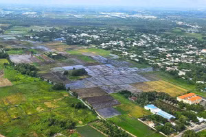 Giá đất nông nghiệp năm 2026 tại Thành phố Hồ Chí Minh được điều chỉnh tăng. (Ảnh: CTV)