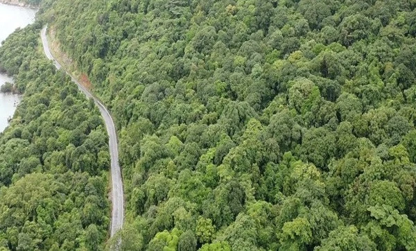 Vị trí được chọn làm nhà máy xử lý rác Côn Đảo nằm ở khu vực có rừng đặc dụng.