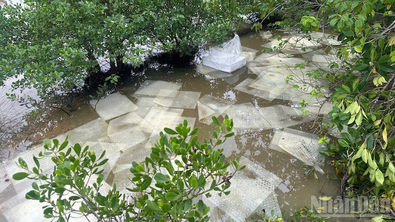 Quảng Ngãi: Đề nghị khẩn trương khắc phục hậu quả sự cố tràn dầu ra môi trường 