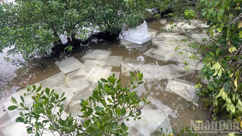 Quảng Ngãi: Đề nghị khẩn trương khắc phục hậu quả sự cố tràn dầu ra môi trường 