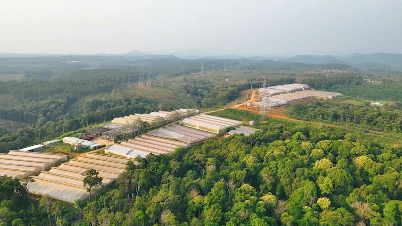 Xã Măng Đen xác định rõ chiến lược, mục tiêu và giải pháp phát triển kinh tế-xã hội.