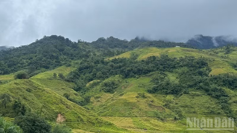 Với diện tích hơn 265km2, xã Xốp có tiềm năng phát triển vùng dược liệu, cây công nghiệp như cà-phê, sâm, bời lời, cây chè, thuốc lá...