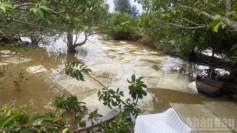 Dầu DO lan rộng trên sông và kênh mương.