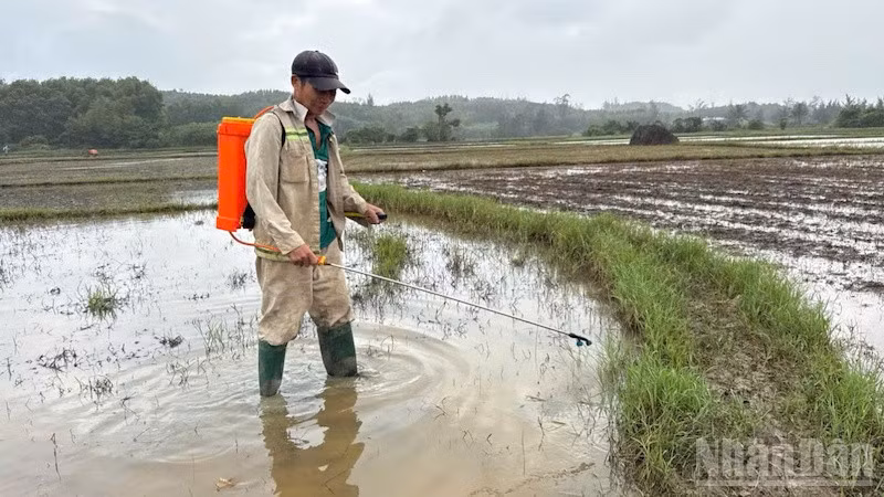 Sử dụng chế phẩm sinh học xử lý ô nhiễm do tràn dầu.