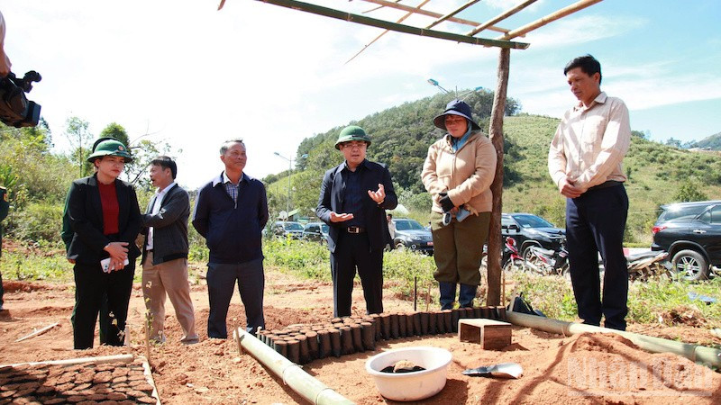 Chủ tịch Ủy ban nhân dân tỉnh Quảng Ngãi Nguyễn Hoàng Giang thăm mô hình ươm cây giống tại xã Tu Mơ Rông.